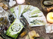 Load image into Gallery viewer, Tamed Wild Wild Medicine Deck