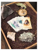 Load image into Gallery viewer, Tamed Wild Wild Crystals Deck