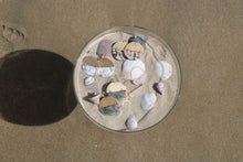 Load image into Gallery viewer, Scout Curated Wears Full Moon Rhodonite Earrings