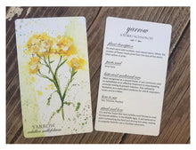 Load image into Gallery viewer, Tamed Wild Wild Medicine Deck