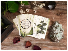 Load image into Gallery viewer, Tamed Wild Wild Medicine Deck