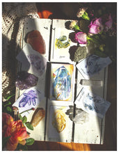 Load image into Gallery viewer, Tamed Wild Wild Crystals Deck