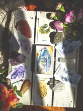 Load image into Gallery viewer, Tamed Wild Wild Crystals Deck
