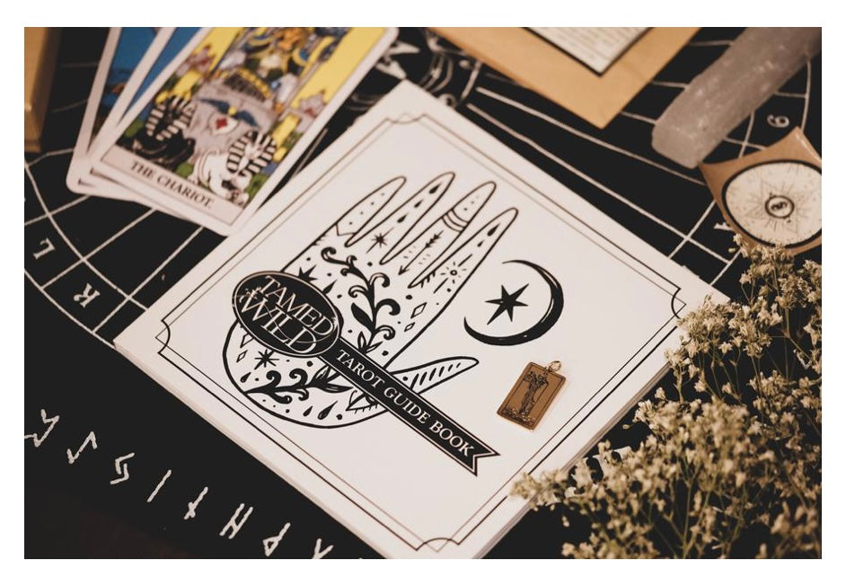 Tamed Wild Tarot Book