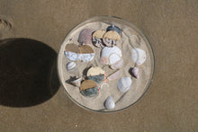 Load image into Gallery viewer, Scout Curated Wears Full Moon Howlite Earrings
